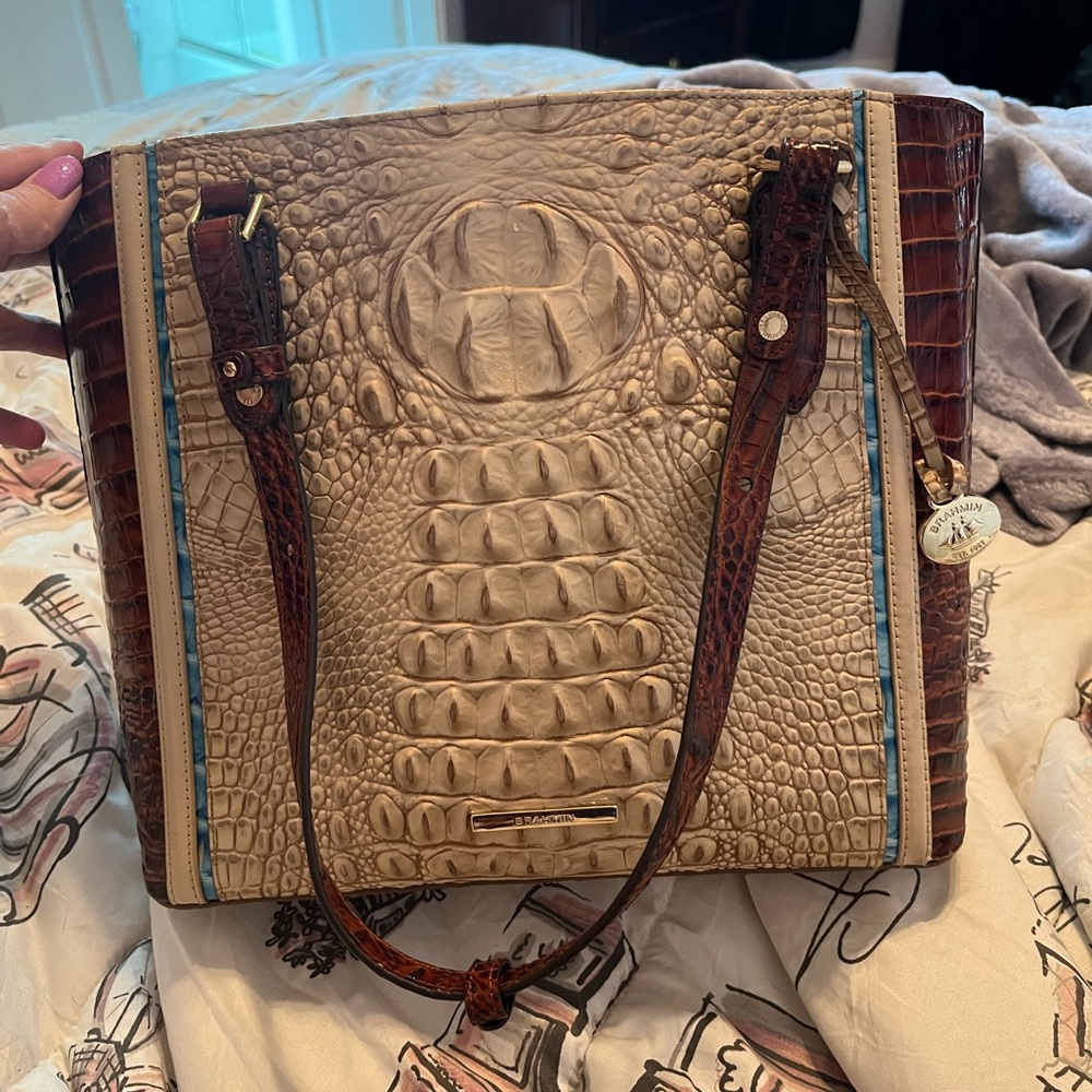 Brahmin Ellen Tote taupe brown w/ teal stripe.